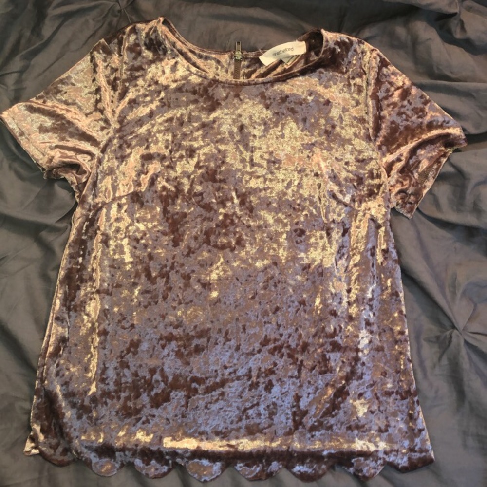 Velvet Top